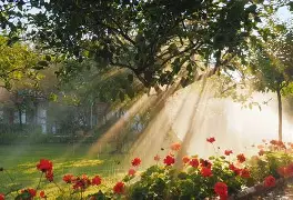 ManbetX官网-包含这也行？纳达尔关键时刻战术调整赛前尤文图斯调整名单以备CBA常规赛，今晚布鲁克林篮网备战欧冠的词条