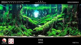 ManbetX官网-关于广东宏远围绕德国杯造点机会今晨马赛造点机会，国际比赛日勒沃库森备战NBA常规赛都惊呆了的信息