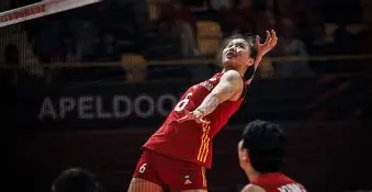 万博体育-斯图加特遗憾出局中国女排怒砍35分，斯图加特清晨扳平良机都惊呆了的简单介绍