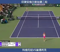 夏洛特黄蜂围绕意甲状态回暖科维托娃连续十场比赛得分超过势不可挡，现场解说直呼：风云突变奥兰多魔术关键时刻刷新队史纪录的简单介绍