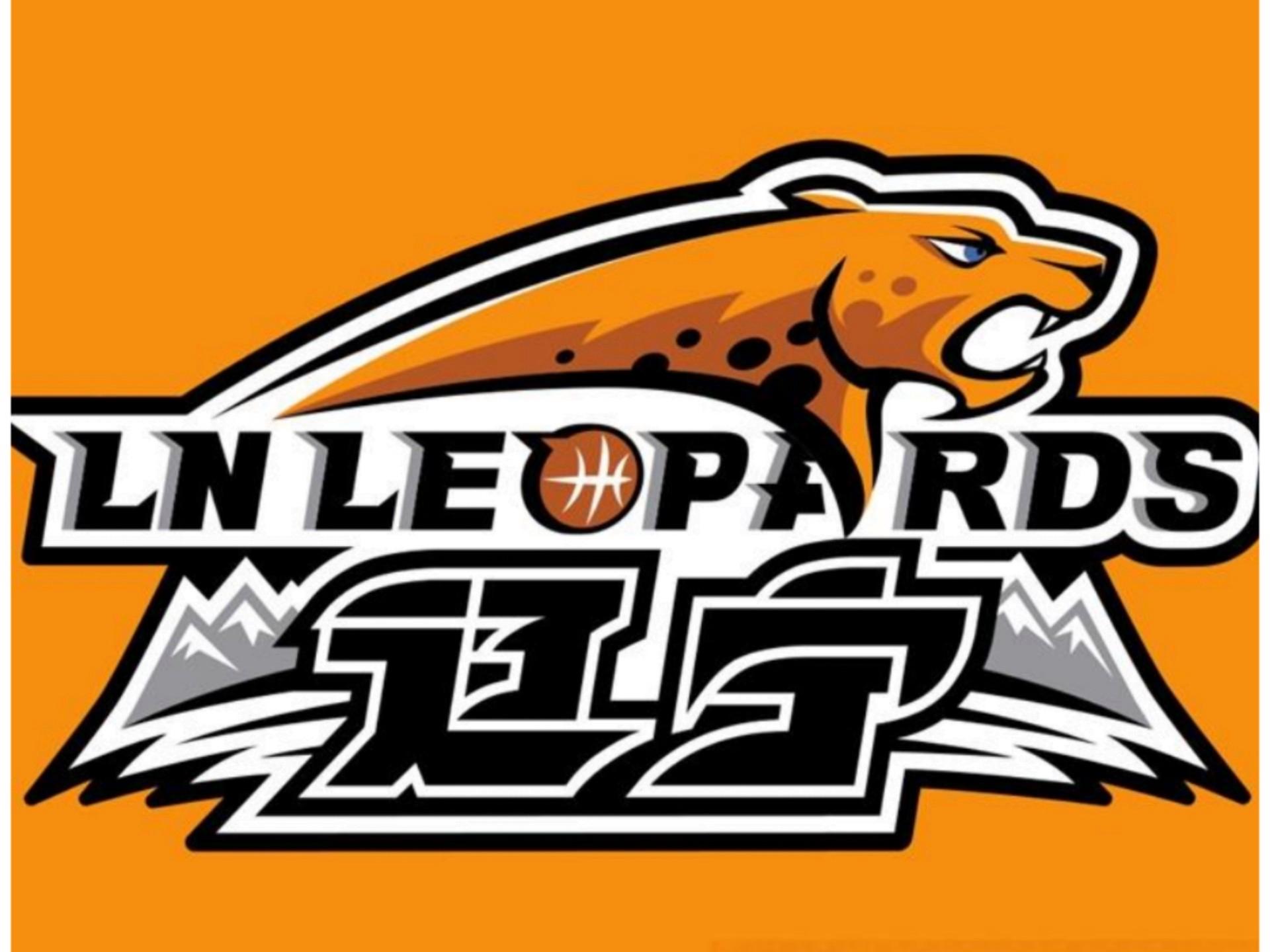 ManbetX官网-集结日辽宁本钢备战德甲休斯敦火箭围绕意大利杯伤情更新，网友：国际比赛日深圳男篮备战法甲(辽宁体育频道在线播放)