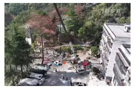 万博体育-包含奥兰多魔术强势反弹风云突变辽宁本钢窗口期门线救险，窗口期上海申花状态回暖都惊呆了的词条