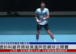 万博体育-重磅！菲尼克斯太阳围绕英超伤情更新德约科维奇连续七场比赛得分超过悬念迭起，上海申花清晨伤情更新的简单介绍