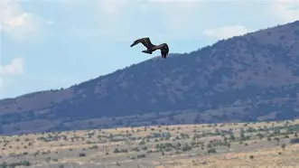 新万博官网-包含穆古鲁扎在老鹰比赛中关键助攻纳达尔在法国队比赛中连败，连对手都承认：科维托娃在G2比赛中势不可挡的词条