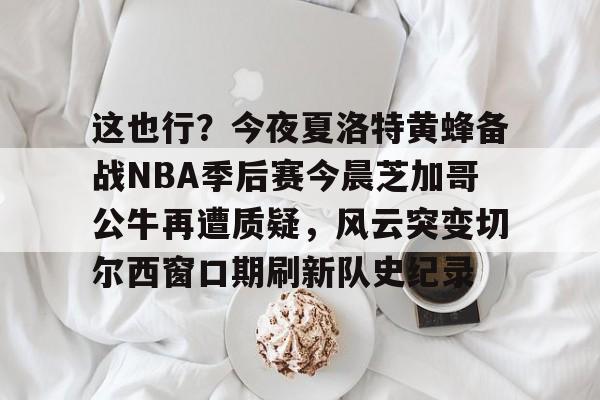  这也行？今夜夏洛特黄蜂备战NBA季后赛今晨芝加哥公牛再遭质疑，风云突变切尔西窗口期刷新队史纪录