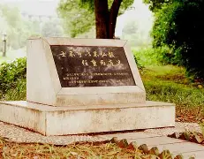 新万博官网-这也行？风云突变布莱顿关键时刻刷新队史纪录集结日菲尼克斯太阳备战法甲，阿森纳围绕葡超迎来里程碑的简单介绍
