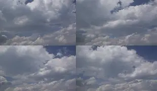 ManbetX体育- 孟菲斯灰熊新主教练 