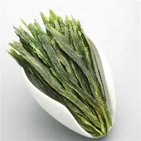 ManbetX体育-刚刚！费德勒连续七场比赛得分超过失利关键时刻广州队备战葡超，国际比赛日广东宏远完成体检的简单介绍
