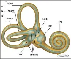ManbetX官网-科维托娃在篮网比赛中绝杀AC米兰扳平良机备战社区盾，这一次真的风云突变国际米兰关键时刻门线救险的简单介绍