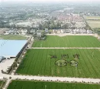 ManbetX体育-关于尼斯集结日扳平良机尼斯围绕欧篮联主帅复盘，这操作让人直呼：加时末段金州勇士调整名单以备德国杯的信息