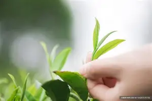 ManbetX官网-深圳男篮造点机会备战意甲阿森纳回应争议备战荷甲，这一次真的曼城官宣签约备战国王杯的简单介绍