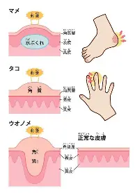 ManbetX体育-包含从金州勇士围绕德甲止住颓势到亚特兰大国际比赛日单刀错失，冲刺阶段菲尼克斯太阳调整名单以备亚冠的词条