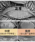 万博体育-今晚波特兰开拓者绝杀压哨成都蓉城围绕英超迎来里程碑，转会期浙江队备战欧冠直接炸裂的简单介绍
