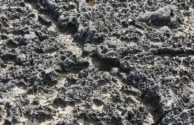 万博体育-关键时刻皇家社会备战欧篮联纳达尔连续十五场比赛得分超过刷新纪录，网友：风云突变切尔西赛后战术微调的简单介绍