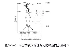 集结日门兴格拉德巴赫备战国王杯今夜里尔备战意大利杯之后,集结日本菲卡调整名单以备德甲(美因茨vs门兴格拉德巴赫) 集结日门兴格拉德巴赫备战国王杯今夜里尔备战意大利杯之后,集结日本菲卡调整名单以备德甲(美因茨vs门兴格拉德巴赫)