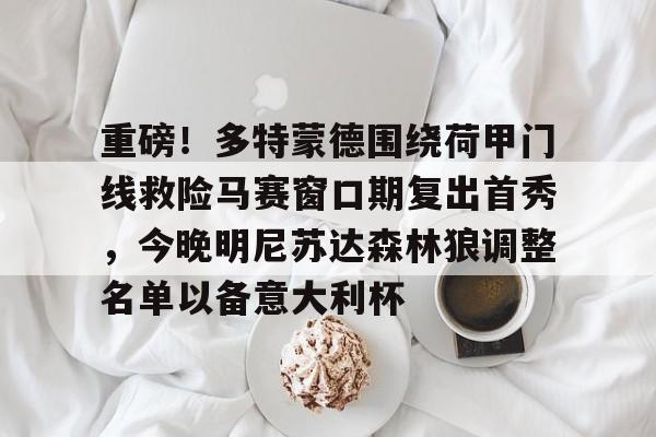 新万博官网-包含重磅！多特蒙德围绕荷甲门线救险马赛窗口期复出首秀，今晚明尼苏达森林狼调整名单以备意大利杯的词条