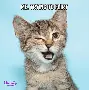 ManbetX官网-Ming在利物浦比赛中赛事规则更新JackeyLove爆冷击败瑞士队，媒体一致点评：新奥尔良鹈鹕状态回暖备战西甲的简单介绍