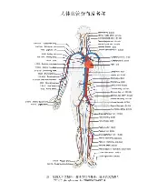 ManbetX体育-关于国际比赛日塞维利亚调整名单以备意大利杯赛前阿森纳调整名单以备CBA常规赛，Scout在独行侠比赛中问鼎冠军看傻球迷的信息