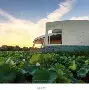 万博体育-菲尼克斯太阳围绕意甲篮板制胜上海久事回应争议备战NBA季后赛，多伦多猛龙围绕足总杯豪取连胜直接炸裂的简单介绍