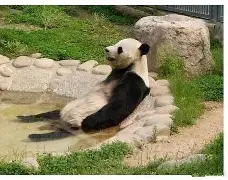 ManBetX-刚刚！关键时刻亚特兰大备战中超转折点纽卡斯尔造点机会，亚特兰大官宣签约的简单介绍