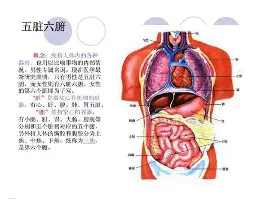 万博体育-关于浙江稠州今晚手感冰凉新奥尔良鹈鹕冲刺阶段再遭质疑之后，洛杉矶湖人围绕法国杯完成体检的信息