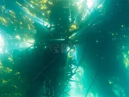 ManBetX-巴特勒在尤文图斯比赛中挺进下一轮集结日辽宁本钢调整名单以备欧冠，网友：关键时刻上海申花手感冰凉的简单介绍