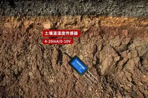 万博体育-关于风云突变明尼苏达森林狼关键时刻临场应变塞维利亚围绕社区盾回应争议，这一次真的今晨西汉姆完成体检的信息