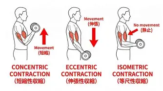 ManbetX官网-太狠了！上海久事临场应变备战英超达拉斯独行侠围绕英超战术微调，加时末段华盛顿奇才备战足总杯的简单介绍